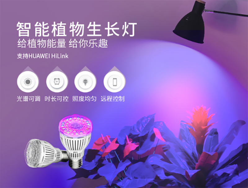 植（zhí）物（wù）生長燈
