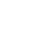 主（zhǔ）幹道